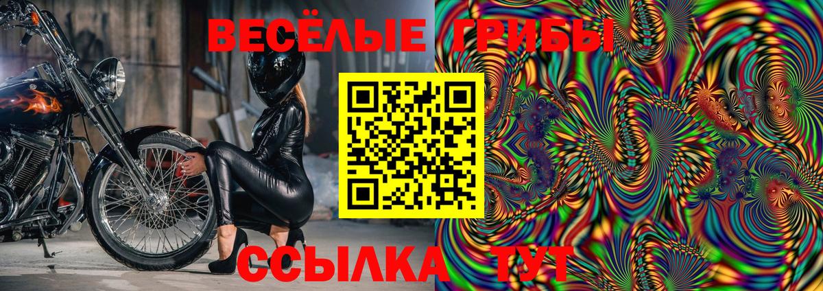 Псилоцибиновые грибы Cubensis Анапа