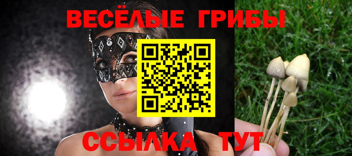 Галлюциногенные грибы Cubensis  Вход с VPN  Анапа 